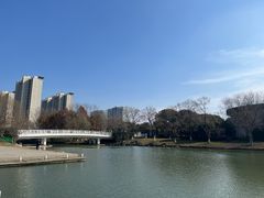 -九里河湿地公园