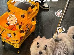 -宠爱国际动物医院·消化内科·心肾内科·ISFM猫友好(望京店)