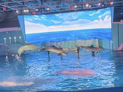 -海合安青岛极地海洋公园