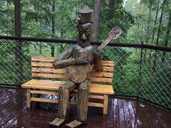 -黄海国家森林公园