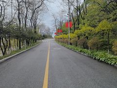 -大鹿岛