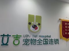-艾吉宠物医院·疑难杂症转诊中心·猫友好(碧江路院)