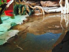 -沙沙哗啦海洋馆(华宇百花谷店)