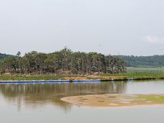-美的鹭湖森林度假区