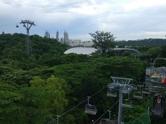 -圣淘沙天际线斜坡滑车