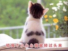 -麦度量贩式KTV(中联广场店)