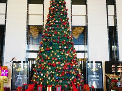 -富力希尔顿酒店·地阔自助餐厅