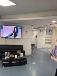 -温州伯思立医院