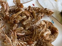 -宾朋海鲜饭庄(兴海路店)