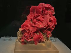 -湖南省地质博物馆