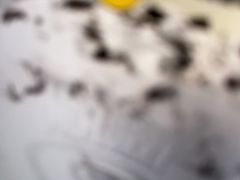 -麦当劳(无锡滨湖万达店)