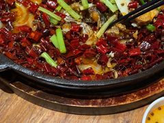 -老板恋上鱼(恒隆广场店)