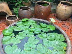 -三喜有食(集美店)