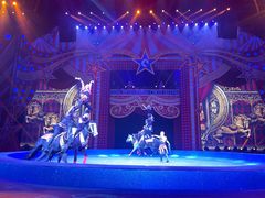 -珠海横琴长隆《卡卡虎奇遇记》