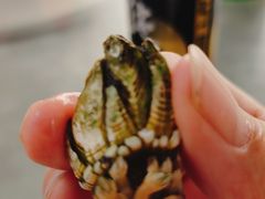 -湛江海鲜餐厅