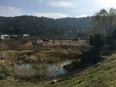 -龙寺生态园