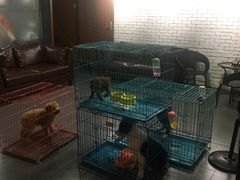 -佳百利宠物(荣乐中路115弄小区店)