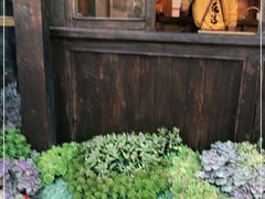 -木王宴语·野生鲜菌火锅(玉河店)