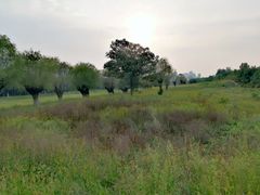 -汉长安城未央宫国家考古遗址公园