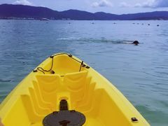 -三亚太阳湾柏悦酒店