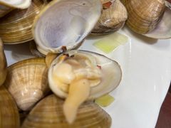 -小铜锣湾海鲜家常菜馆(河西店)