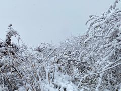 -九峰山