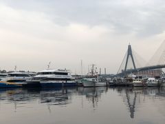 -悉尼鱼市场