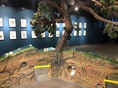 -南宫五洲植物乐园