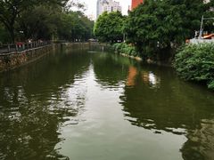-晓港公园