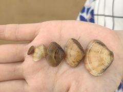 -青岛银沙滩