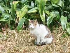 -广州兰圃