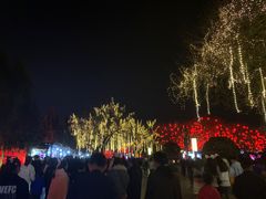 -大雁塔北广场音乐喷泉