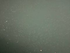 -蓝湾碧波·老字号·疍家非遗海上餐厅