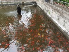 -红螺寺