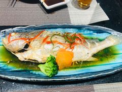 -daozao料理美术馆(东营店)