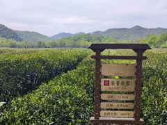 -中国茶叶博物馆(双峰馆区)