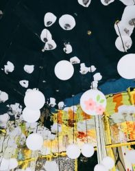 -萌兔星空蹦床撸兔馆