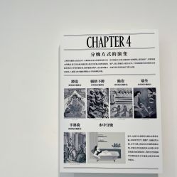 -悦子阁月子会所