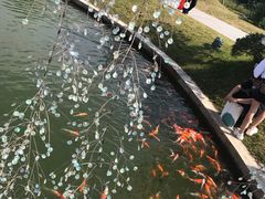 -迪茵湖田家舍生态农场