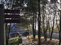 -广州市帽峰山景区