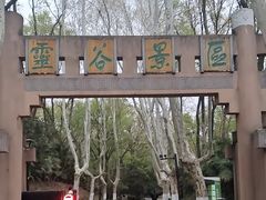 -灵谷景区