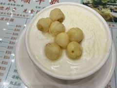 -义顺牛奶公司(新马路老店)