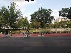 -广西大学(大学东路校区)