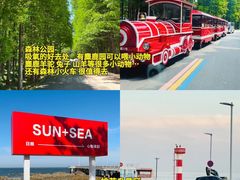 -日照海滨国家森林公园