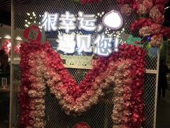 -一笼小幸运