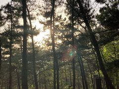 -燕窝岭