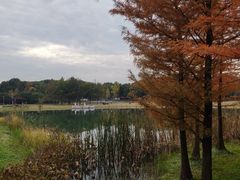 -苏州太湖国家湿地公园
