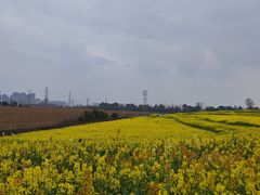 -三圣花乡旅游区