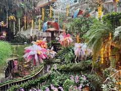 -正佳雨林生态植物园