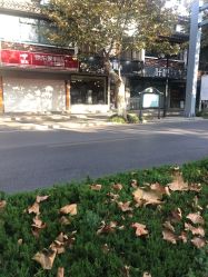 -红馆·发喆院